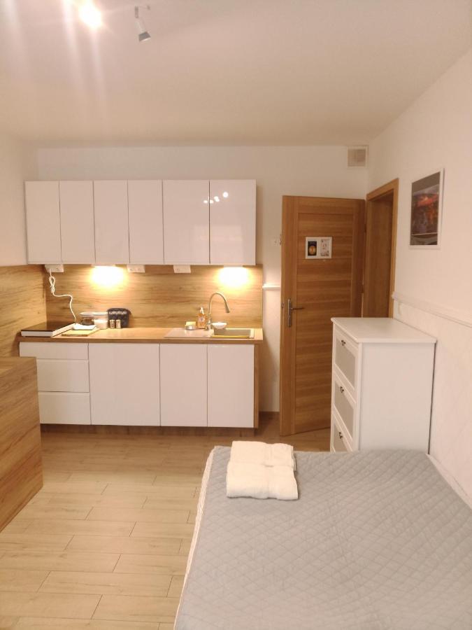 Luksusowy Gaj Apartament By Apartamenty Na Dni 弗罗茨瓦夫 外观 照片